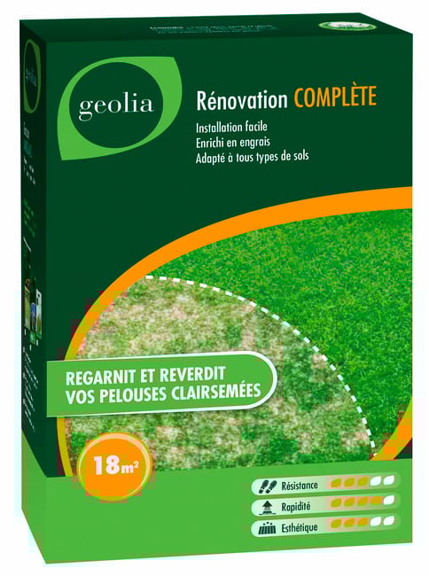 RENOVATION COMPLETE GEOLIA 500G