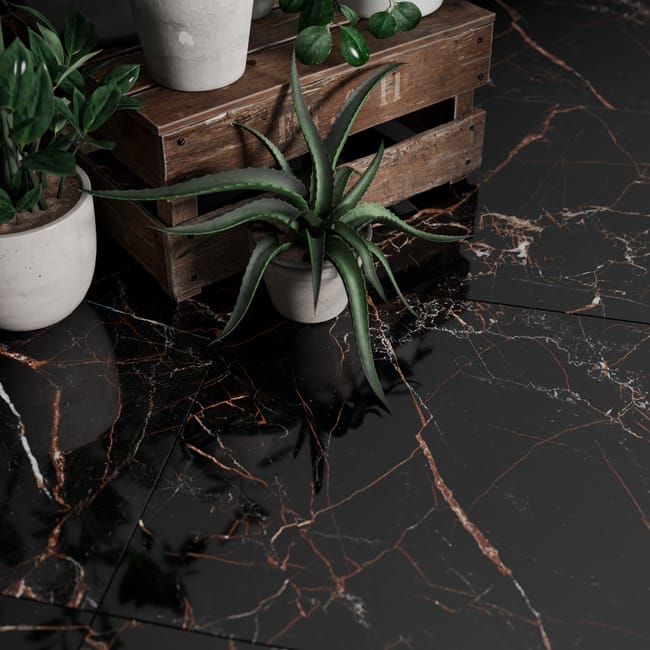 CX BLUSH NOIR BRILL 60X120 1.44M²