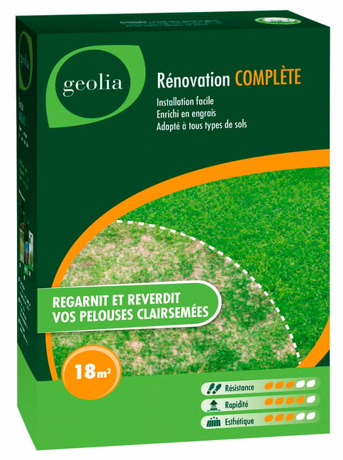 RENOVATION COMPLETE GEOLIA 500G