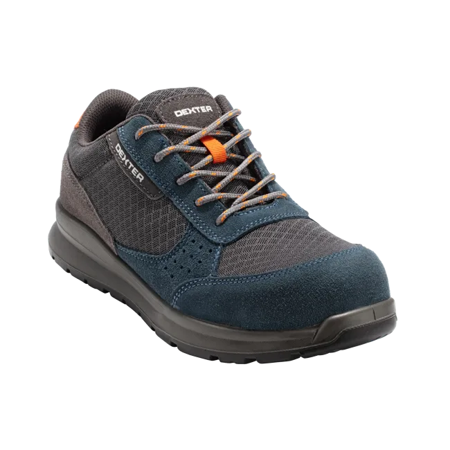CHAUSSURES BASSES DEXTER S1P T42